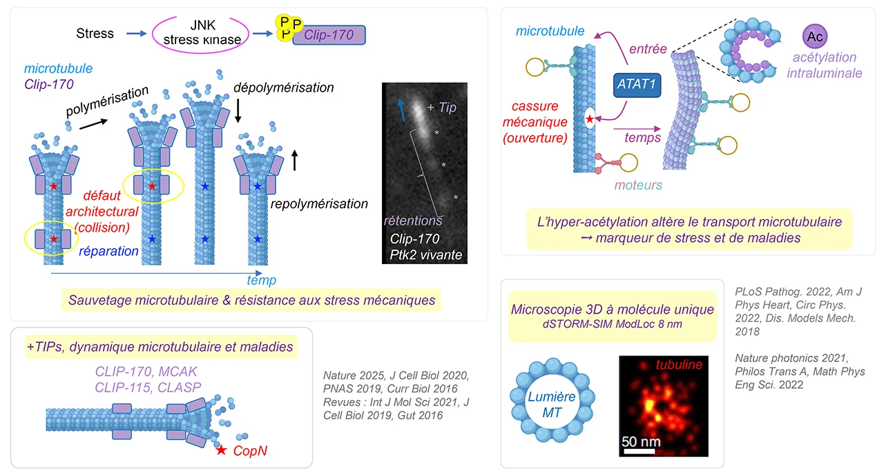 theme4 figure3